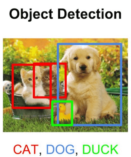 object detection